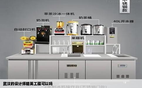 武汉的设计师精英工程可以吗