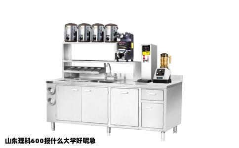 山东理科600报什么大学好呢急