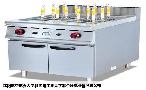 沈阳航空航天大学和沈阳工业大学哪个好就业情况怎么样