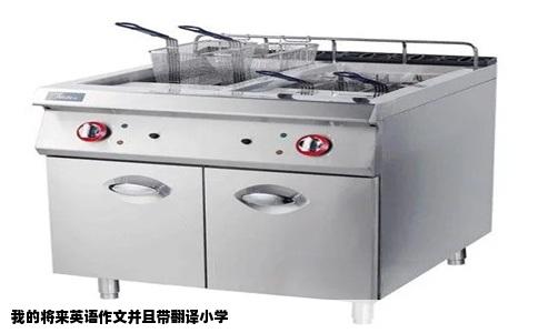 我的将来英语作文并且带翻译小学