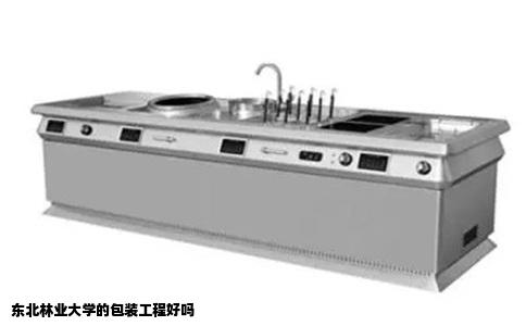 东北林业大学的包装工程好吗