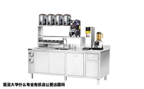 复旦大学什么专业有机会公费出国吗