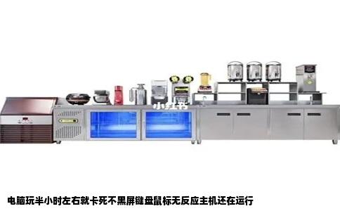 电脑玩半小时左右就卡死不黑屏键盘鼠标无反应主机还在运行