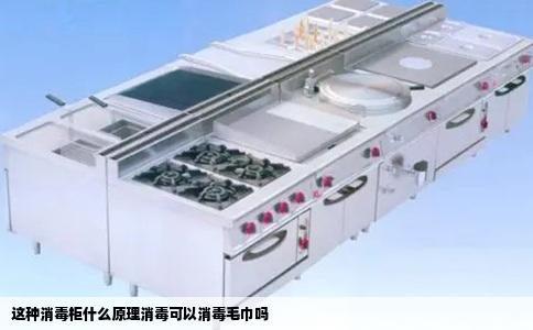 这种消毒柜什么原理消毒可以消毒毛巾吗