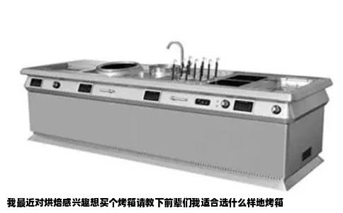 我最近对烘焙感兴趣想买个烤箱请教下前辈们我适合选什么样地烤箱