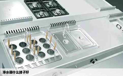 净水器什么牌子好