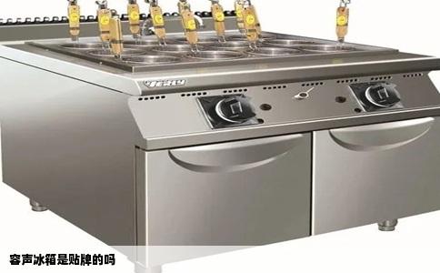 容声冰箱是贴牌的吗