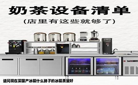 请问现在买国产冰箱什么牌子的冰箱质量好