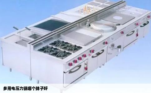 多用电压力锅哪个牌子好