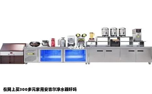 在网上买300多元家用安吉尔净水器好吗