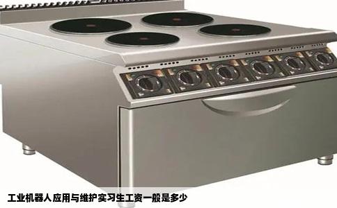 工业机器人应用与维护实习生工资一般是多少