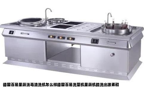 德国百易果蔬消毒清洗机怎么样德国百易洗菜机果蔬机能洗出激素和