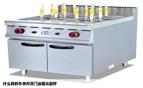 什么样的中央对开门冰箱比较好