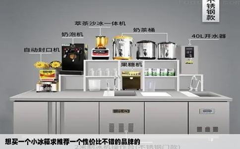 想买一个小冰箱求推荐一个性价比不错的品牌的