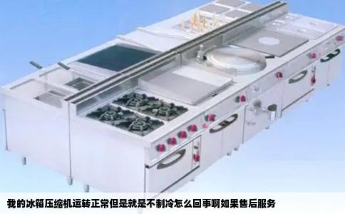 我的冰箱压缩机运转正常但是就是不制冷怎么回事啊如果售后服务