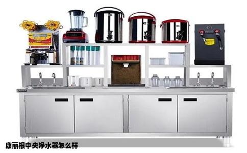 康丽根中央净水器怎么样
