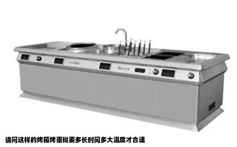 请问这样的烤箱烤蛋挞要多长时间多大温度才合适