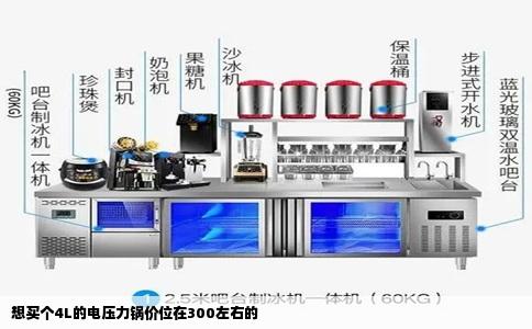 想买个4L的电压力锅价位在300左右的