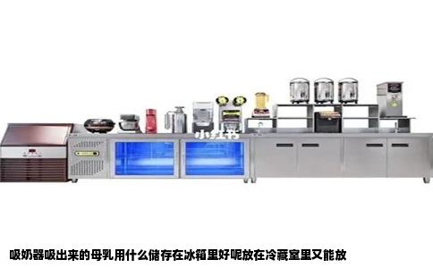 吸奶器吸出来的母乳用什么储存在冰箱里好呢放在冷藏室里又能放