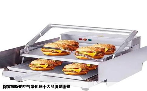 除雾霾好的空气净化器十大品牌是哪些