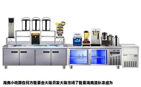 海南小吃路在何方我要去大陆开发大陆市场了我要海南清补凉成为