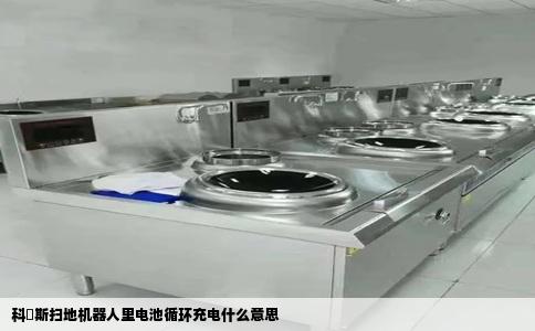科汏斯扫地机器人里电池循环充电什么意思
