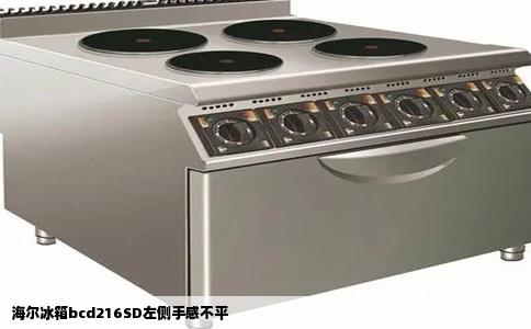 海尔冰箱bcd216SD左侧手感不平