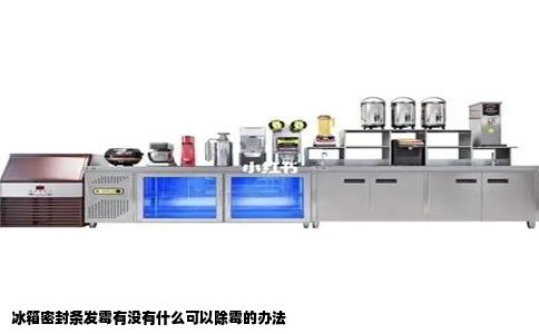 冰箱密封条发霉有没有什么可以除霉的办法