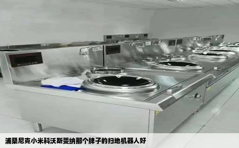浦桑尼克小米科沃斯斐纳那个牌子的扫地机器人好