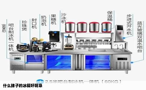 什么牌子的冰箱好啊急
