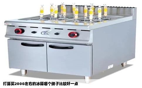 打算买2000左右的冰箱哪个牌子比较好一点