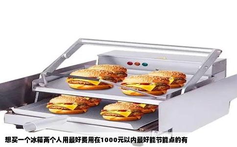 想买一个冰箱两个人用最好费用在1000元以内最好能节能点的有