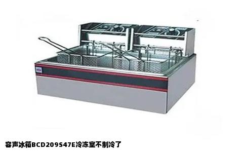 容声冰箱BCD209S47E冷冻室不制冷了
