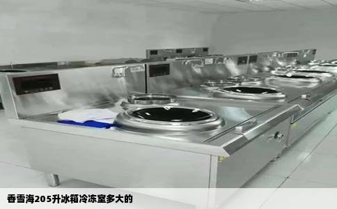 香雪海205升冰箱冷冻室多大的