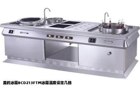 美的冰箱BCD213FTM冰箱温度设定几档