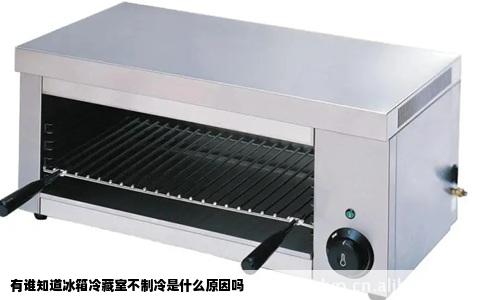 有谁知道冰箱冷藏室不制冷是什么原因吗
