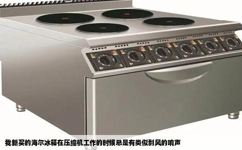 我新买的海尔冰箱在压缩机工作的时候总是有类似刮风的响声