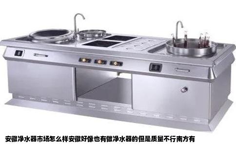 安徽净水器市场怎么样安徽好像也有做净水器的但是质量不行南方有