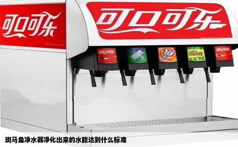 斑马鱼净水器净化出来的水能达到什么标准