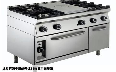 冰箱有味不用愁教你12招实用除臭法