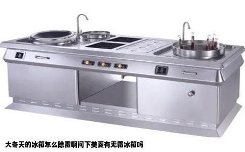 大冬天的冰箱怎么除霜啊问下美菱有无霜冰箱吗