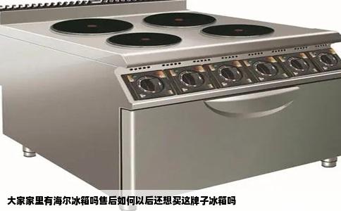 大家家里有海尔冰箱吗售后如何以后还想买这牌子冰箱吗