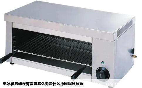 电冰箱启动没有声音怎么办是什么原因呢急急急