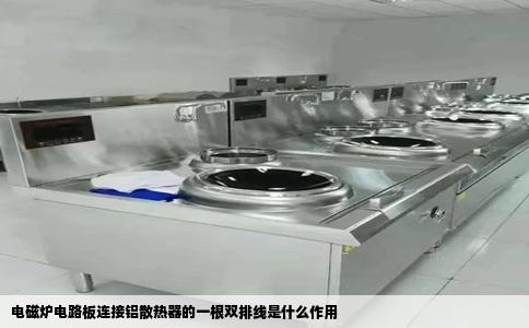 电磁炉电路板连接铝散热器的一根双排线是什么作用