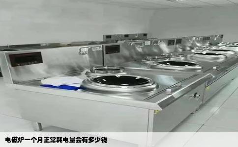 电磁炉一个月正常耗电量会有多少钱