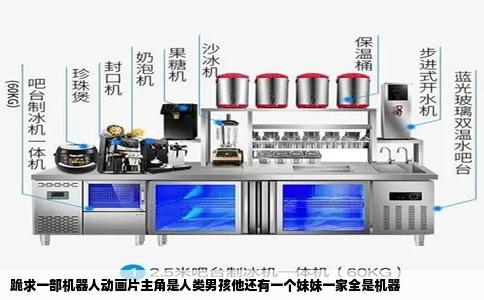 跪求一部机器人动画片主角是人类男孩他还有一个妹妹一家全是机器