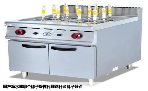 国产净水器哪个牌子好做代理选什么牌子好点