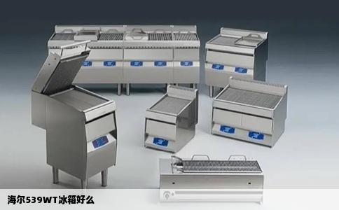 海尔539WT冰箱好么