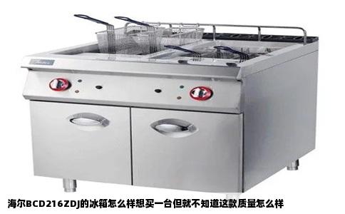 海尔BCD216ZDJ的冰箱怎么样想买一台但就不知道这款质量怎么样