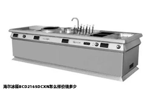 海尔冰箱BCD216SDCXN怎么样价钱多少